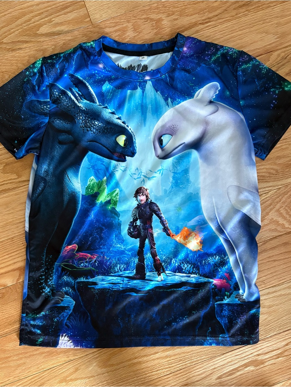 How to Train Your Dragon Graphic Tee - Black, Blue, White